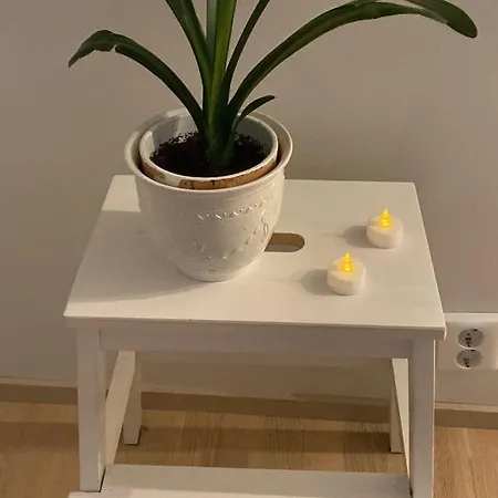 Rivitalohuoneisto Apartment *